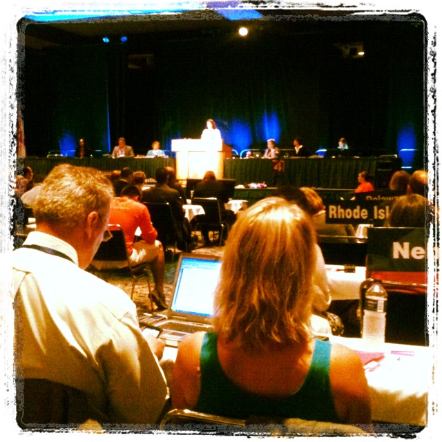 Kendra Gagnon's view from the floor of the APTA House of Delegates