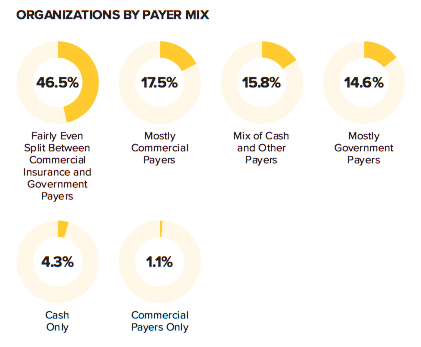 Organizations By Payer Mix