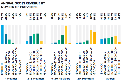 Annual Gross Revenue By Number of Providers