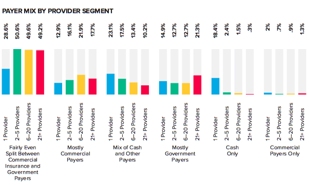 Payer Mix By Provider Segment