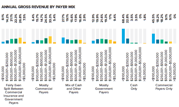 Annual Gross Revenue By Payer Mix