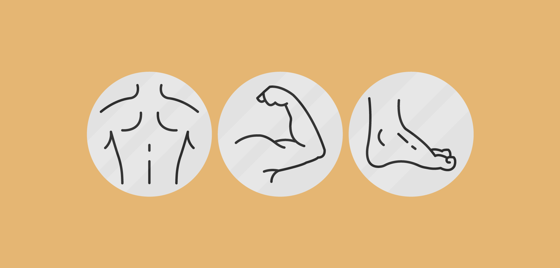 image representing how to document and bill for physical therapy on different body parts